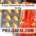 À Quoi Ressemble Le Sildénafil 50 Mg new01
